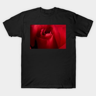 Red Rose Up Close T-Shirt